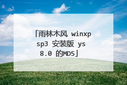 雨林木风 winxp sp3 安装版 ys8.0 的MD5