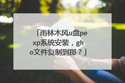 雨林木风u盘pexp系统安装,gho文件复制到那?