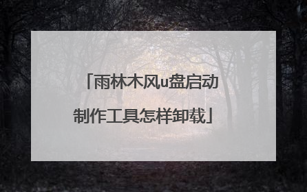 雨林木风u盘启动制作工具怎样卸载