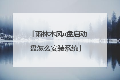 雨林木风u盘启动盘怎么安装系统