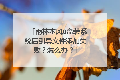 雨林木风u盘装系统后引导文件添加失败?怎么办?