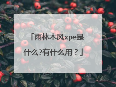 雨林木风xpe是什么?有什么用?
