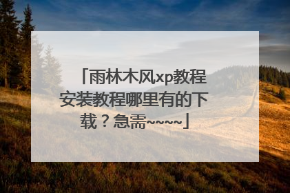 雨林木风xp教程安装教程哪里有的下载?急需~~~~