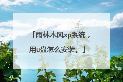 雨林木风xp系统,用u盘怎么安装。