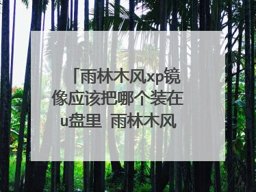 雨林木风xp镜像应该把哪个装在u盘里 雨林木风xp如何安装