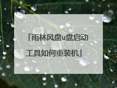 雨林风盘u盘启动工具如何重装机