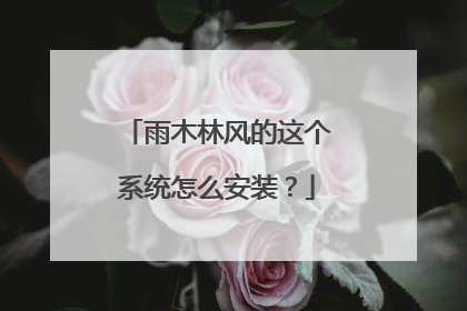 雨木林风的这个系统怎么安装?