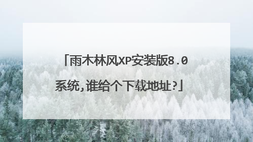 雨木林风XP安装版8.0系统,谁给个下载地址?