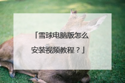 雪球电脑版怎么安装视频教程?