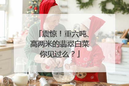 震惊!重六吨、高两米的翡翠白菜你见过么?