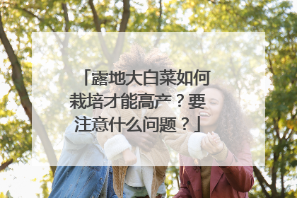 露地大白菜如何栽培才能高产？要注意什么问题？