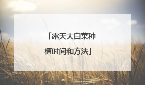 露天大白菜种植时间和方法