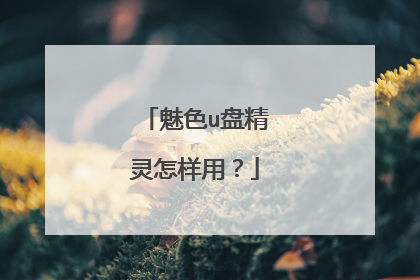 魅色u盘精灵怎样用?