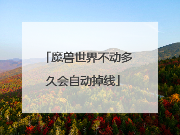 魔兽世界不动多久会自动掉线
