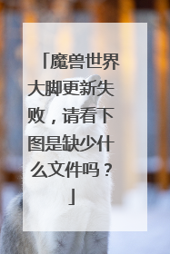 魔兽世界大脚更新失败,请看下图是缺少什么文件吗?