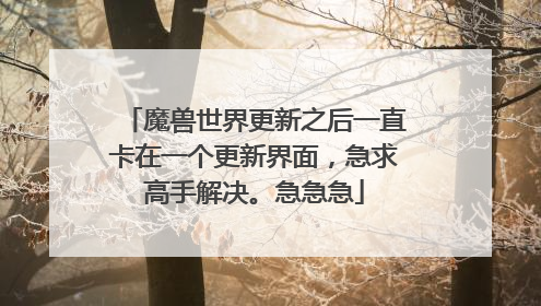 魔兽世界更新之后一直卡在一个更新界面,急求高手解决。急急急