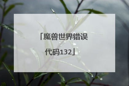 魔兽世界错误代码132