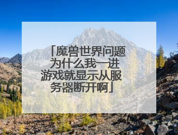 魔兽世界问题 为什么我一进游戏就显示从服务器断开啊