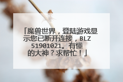 魔兽世界，登陆游戏显示您已断开连接，BLZ51901021。有懂的大神？求帮忙！