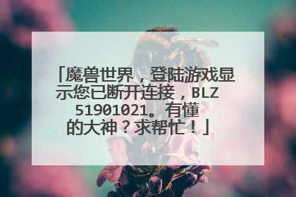 魔兽世界，登陆游戏显示您已断开连接，BLZ51901021。有懂的大神？求帮忙！