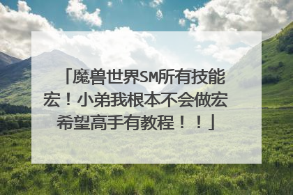 魔兽世界SM所有技能宏!小弟我根本不会做宏希望高手有教程!!