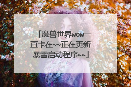 魔兽世界wow一直卡在~~正在更新暴雪启动程序~~