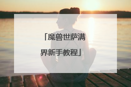 魔兽世萨满界新手教程