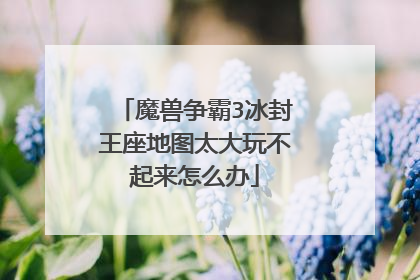 魔兽争霸3冰封王座地图太大玩不起来怎么办