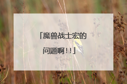 魔兽战士宏的问题啊!!