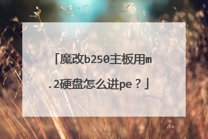 魔改b250主板用m.2硬盘怎么进pe?