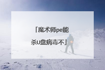魔术师pe能杀U盘病毒不