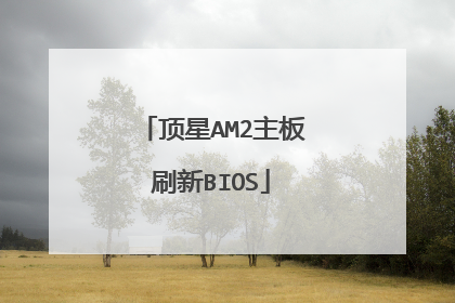顶星AM2主板刷新BIOS