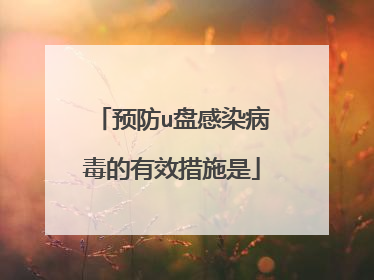 预防u盘感染病毒的有效措施是