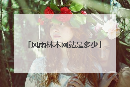 风雨林木网站是多少