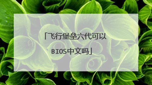 飞行堡垒六代可以BIOS中文吗