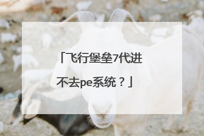 飞行堡垒7代进不去pe系统?