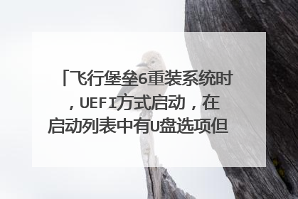 飞行堡垒6重装系统时,UEFI方式启动,在启动列表中有U盘选项但无法进入pe,一闪又回到启动选择?