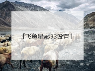 飞鱼星ws33设置
