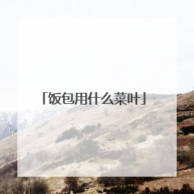 饭包用什么菜叶