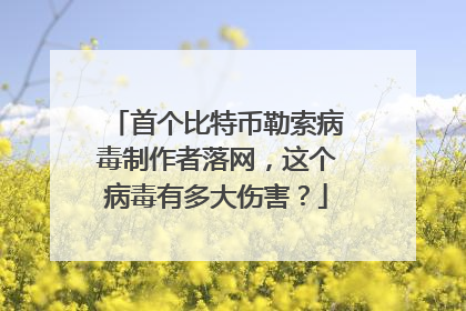 首个比特币勒索病毒制作者落网，这个病毒有多大伤害？