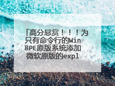 高分悬赏!!!为只有命令行的Win8PE原版系统添加微软原版的explorer并且添加一些常用维护工具!