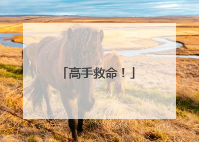 高手救命!