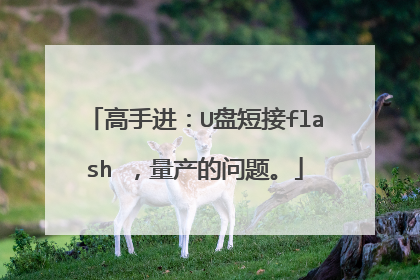 高手进:U盘短接flash ,量产的问题。