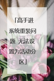 高手进 系统重装问题 无法设置为活动分区