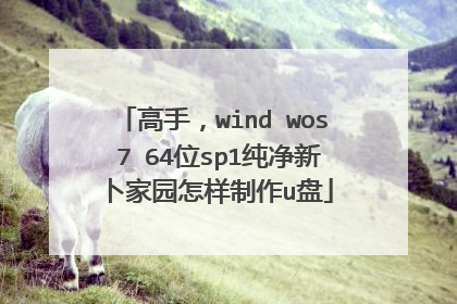 高手,wind wos 7 64位sp1纯净新卜家园怎样制作u盘