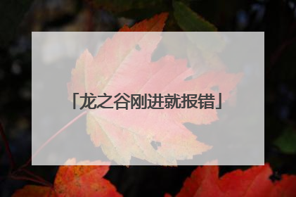 龙之谷刚进就报错