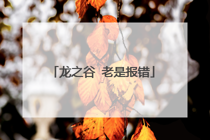龙之谷 老是报错
