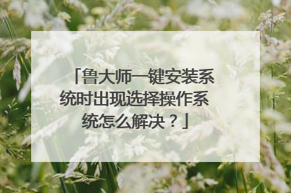 鲁大师一键安装系统时出现选择操作系统怎么解决？