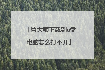 鲁大师下载到u盘电脑怎么打不开