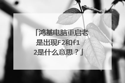 鸿基电脑重启老是出现F2和f12是什么意思？